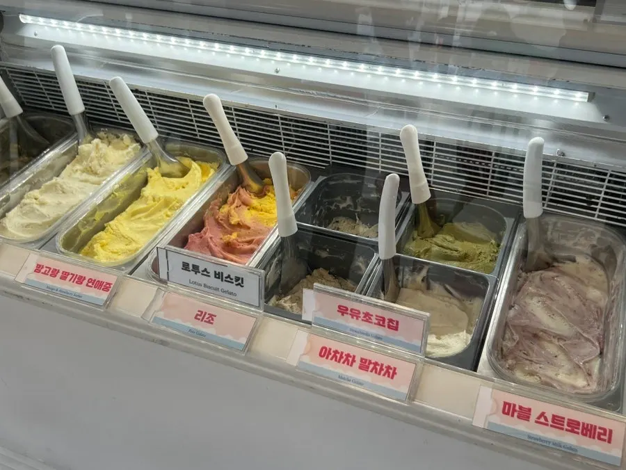 강릉 중앙시장 디저트 맛집 하이젤라또 젤라또