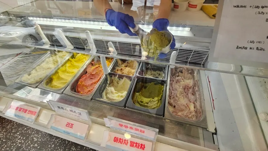 Gelato showcase displaying a variety of flavors