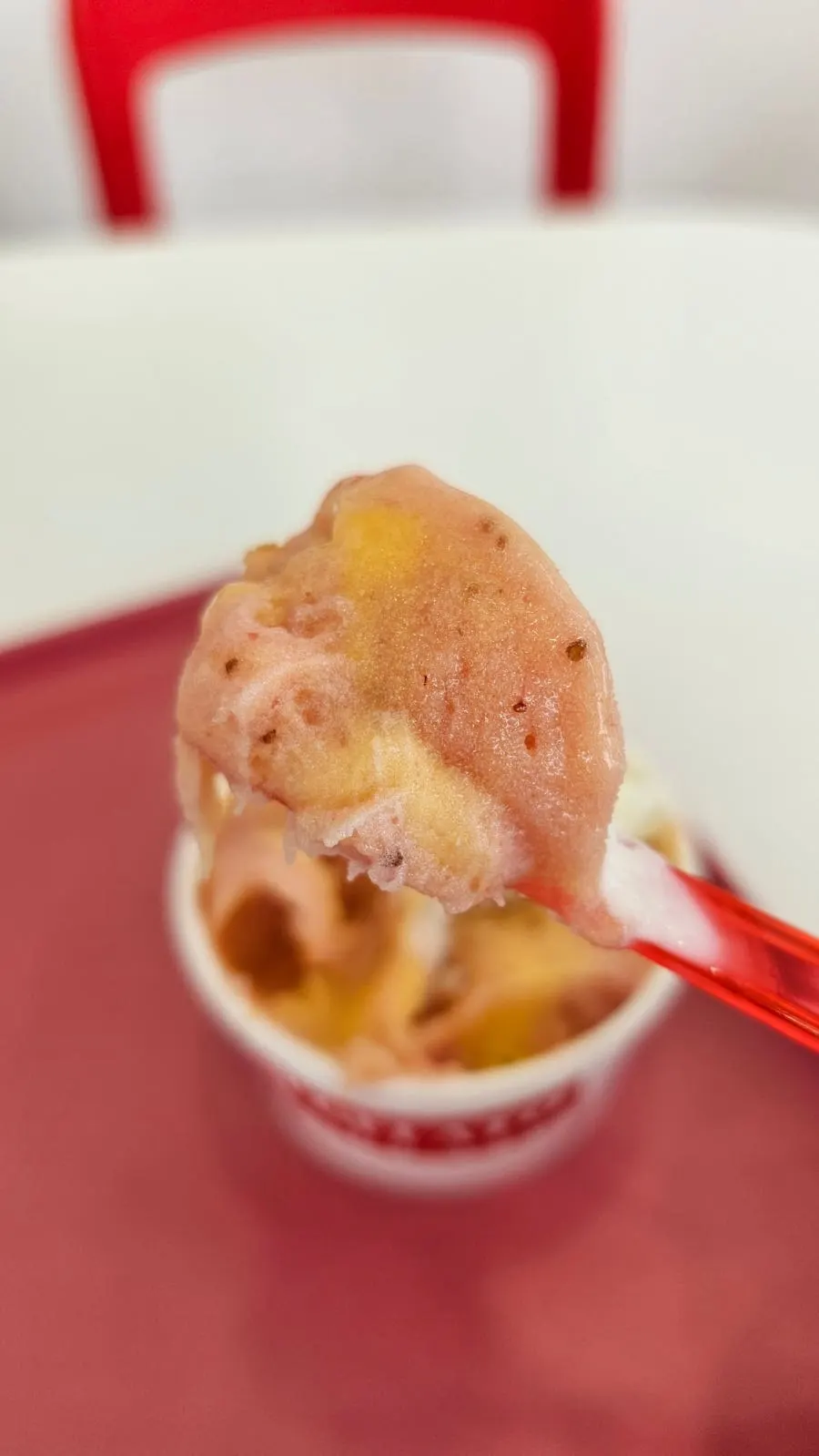Bitter and sweet Achacha Matcha Cha gelato