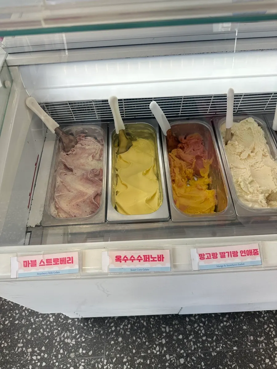 Various flavors displayed in the gelato showcase