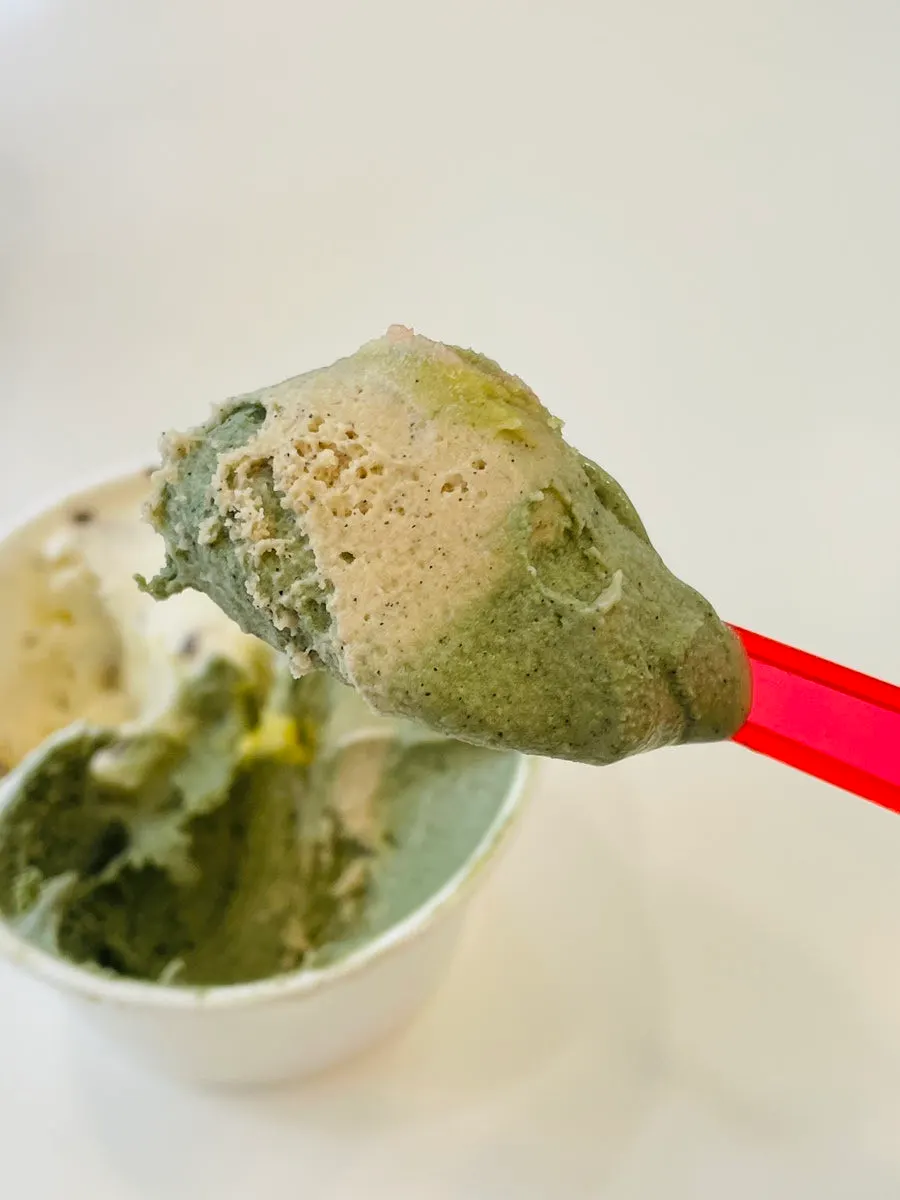 Milk chocolate gelato with chocolate chips