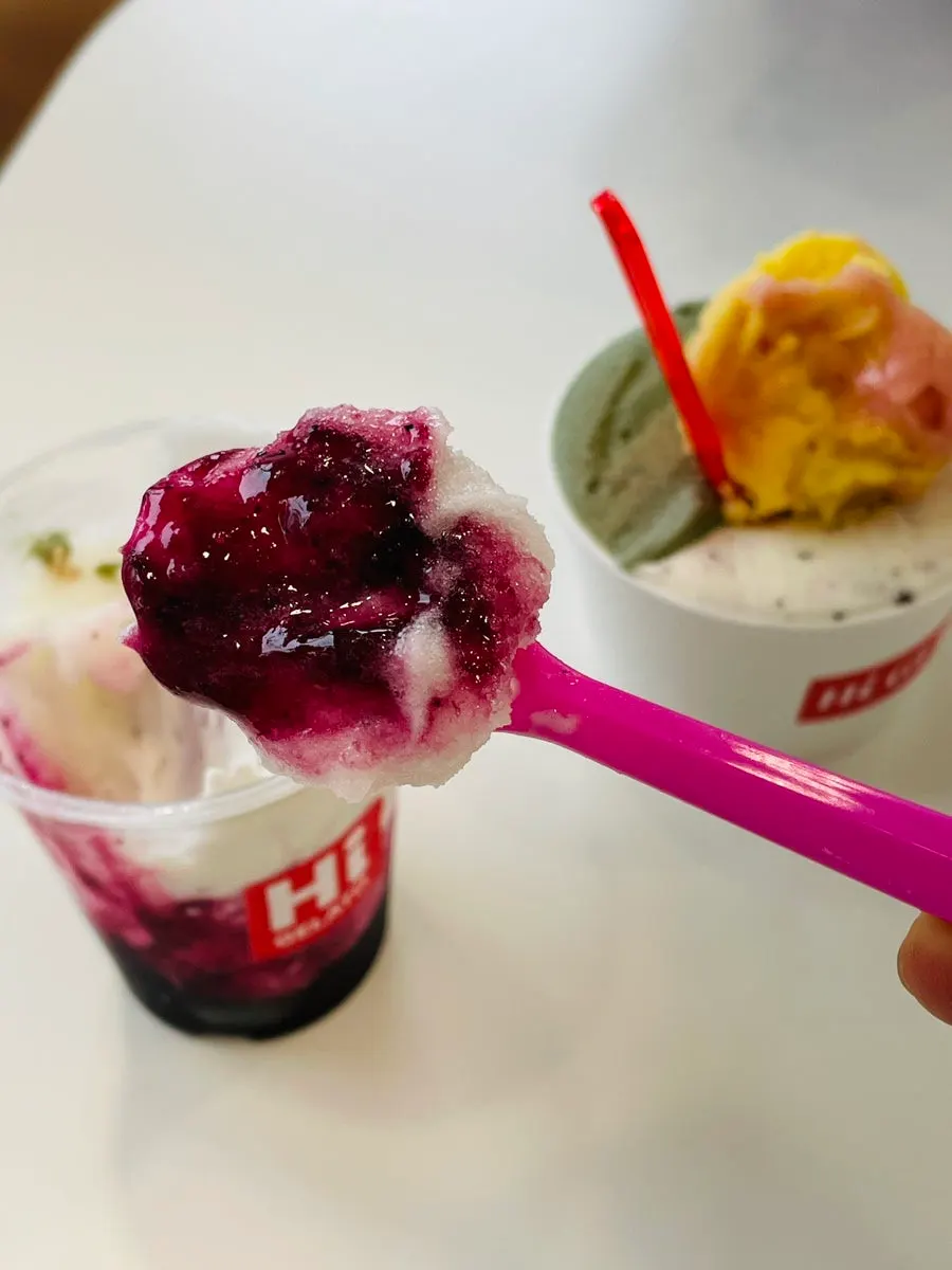 Bottom layer of blueberry compote in the Hi Gelato