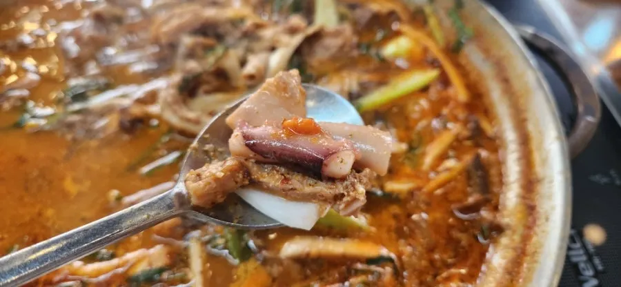Generous portion of beef tripe and honeycomb tripe