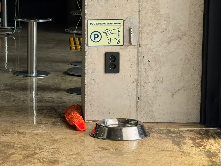 Dog leash hooks installed throughout the store