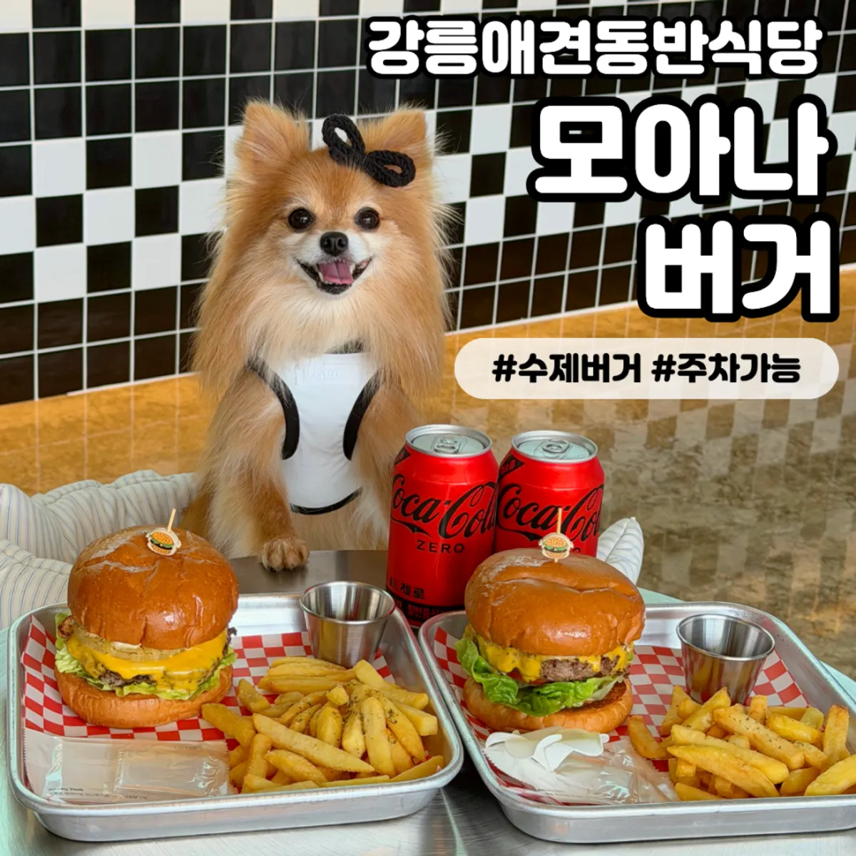 강릉 초당동 모아나버거 수제버거 대표 사진