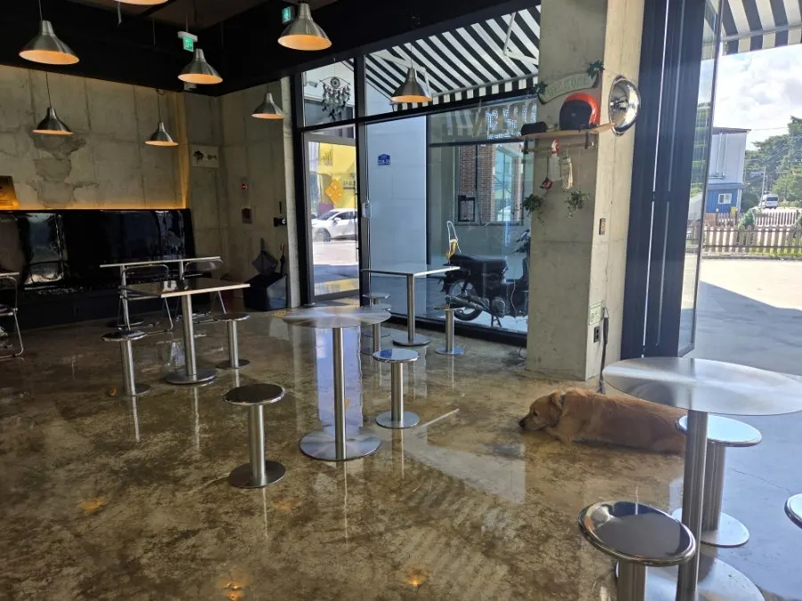 モアナバーガーの店内席と小物