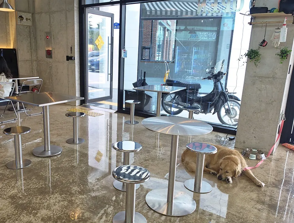 모아나버거 내부 인테리어와 좌석