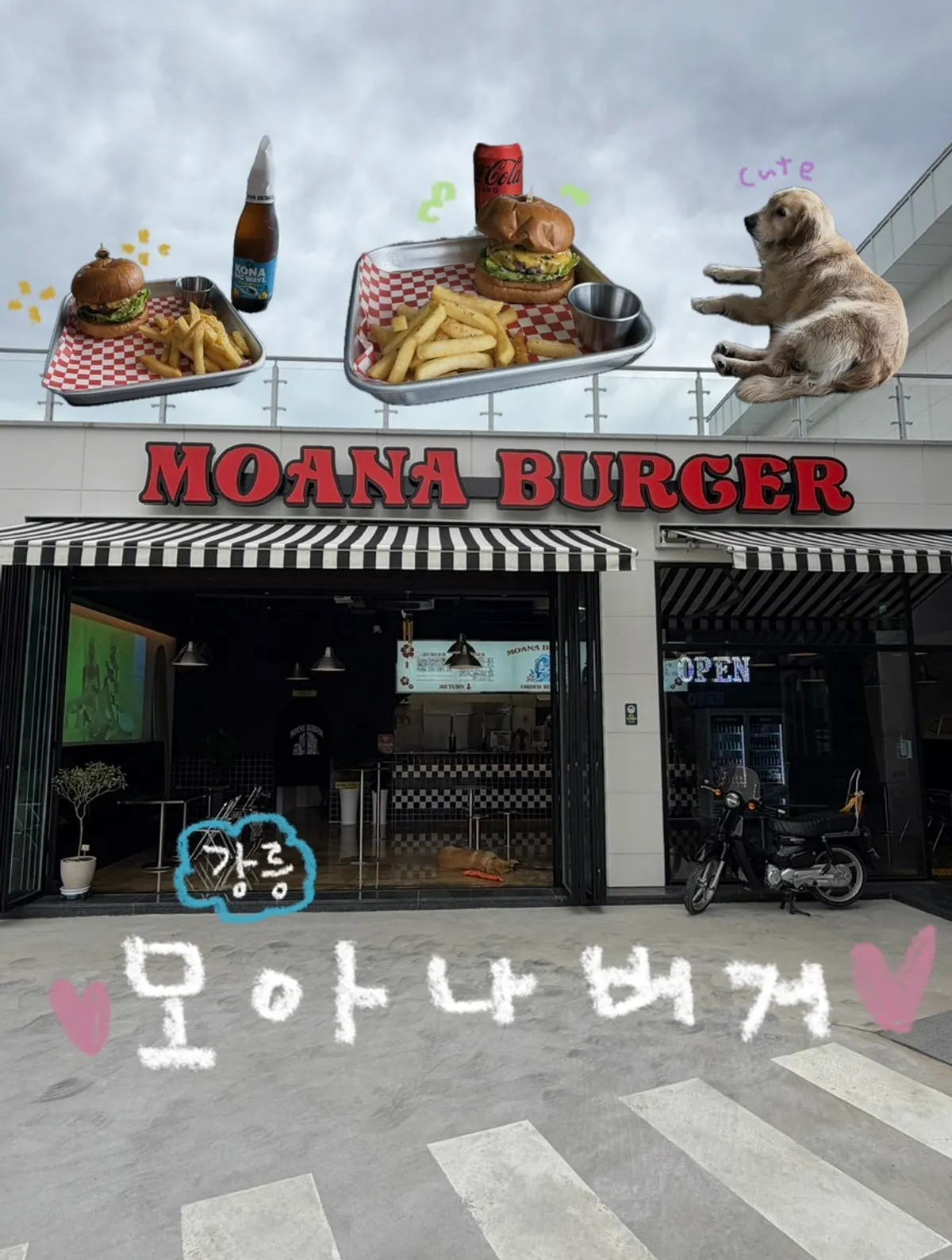 강릉 모아나버거 대표 이미지