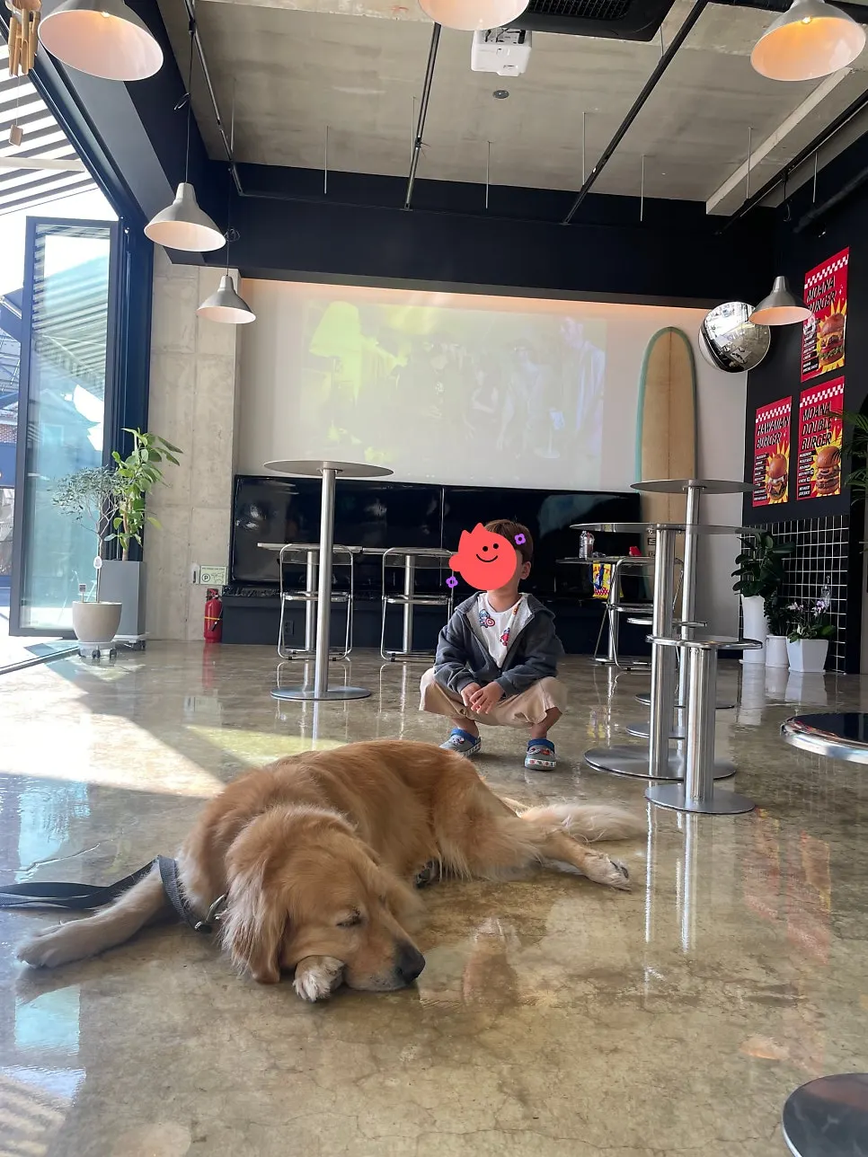 식사 후 매장 강아지와 노는 아이