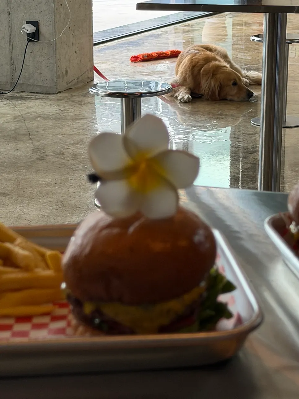 Sauces placed near the kitchen at Moana Burger