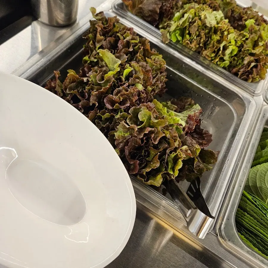 Plate of fresh wrap vegetables