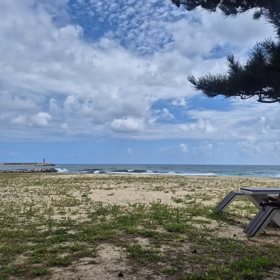 View of the sea at Namhangjin Beach right in front of the restaurant
