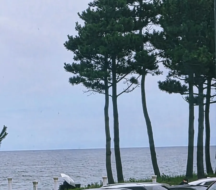 The sea at Namhangjin as seen from in front of the restaurant