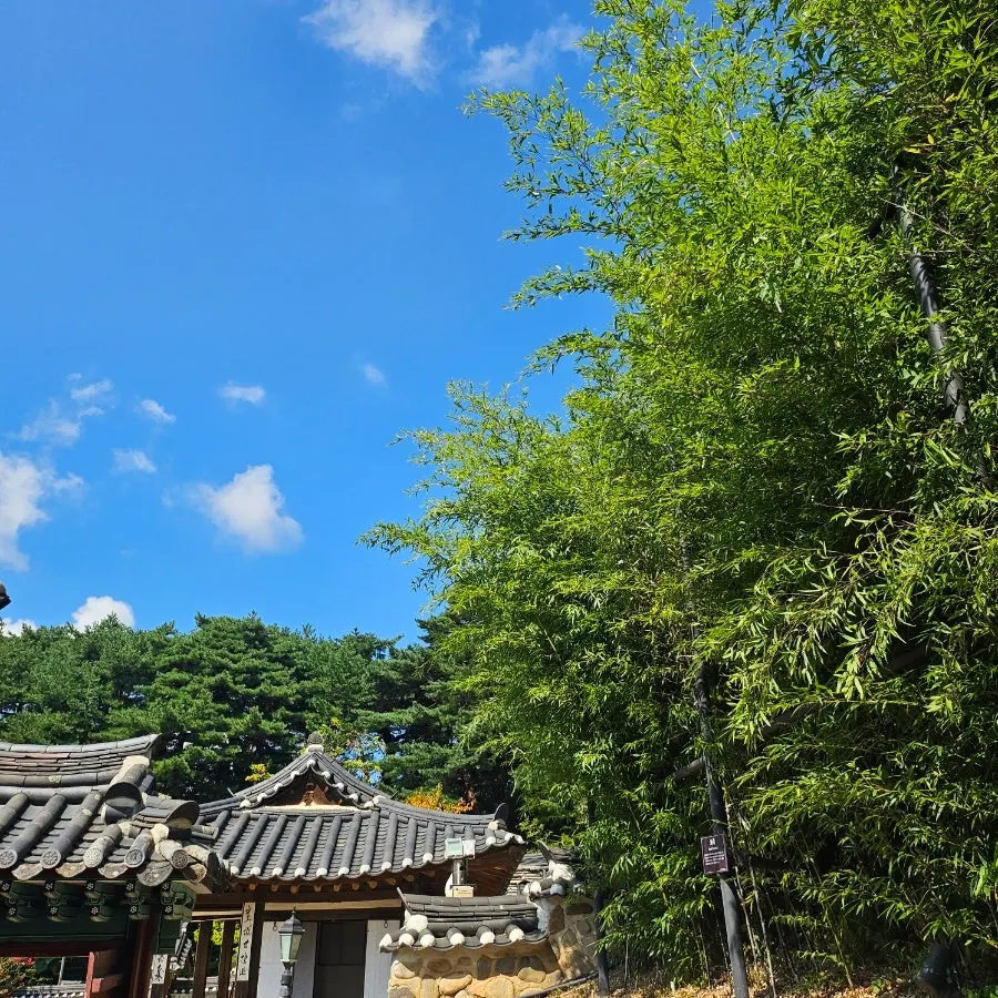 Exterior of the Saimdang Bueok building