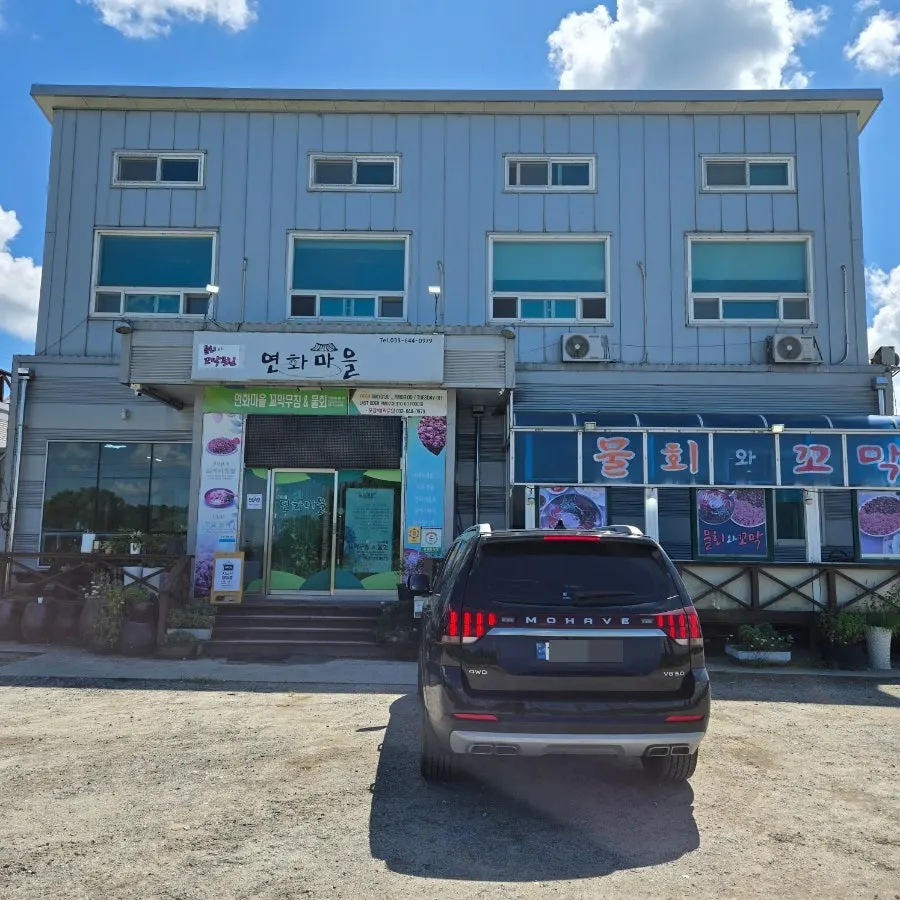 매장 주변 연밭과 마을 풍경