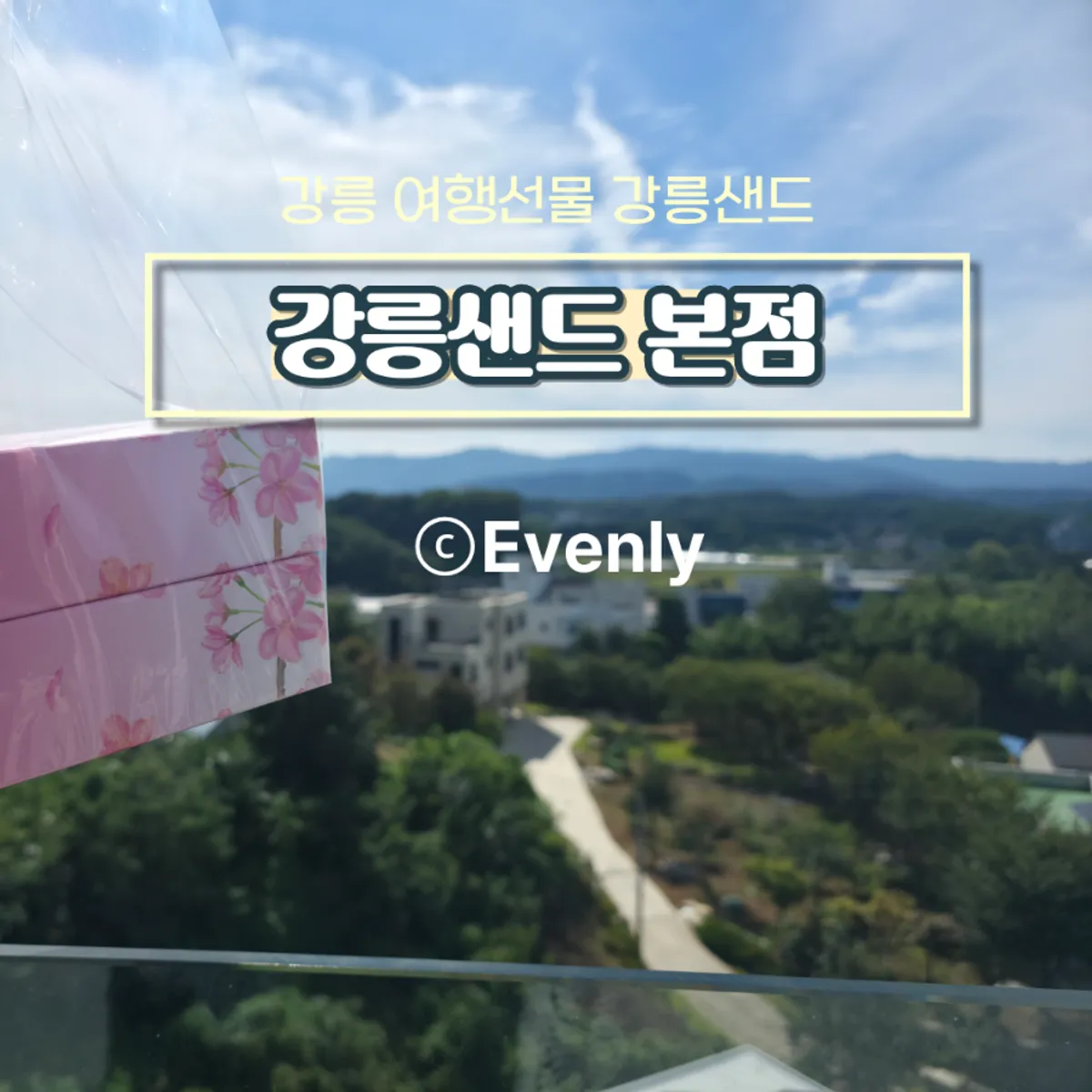 가족 선물로 고른 강릉샌드