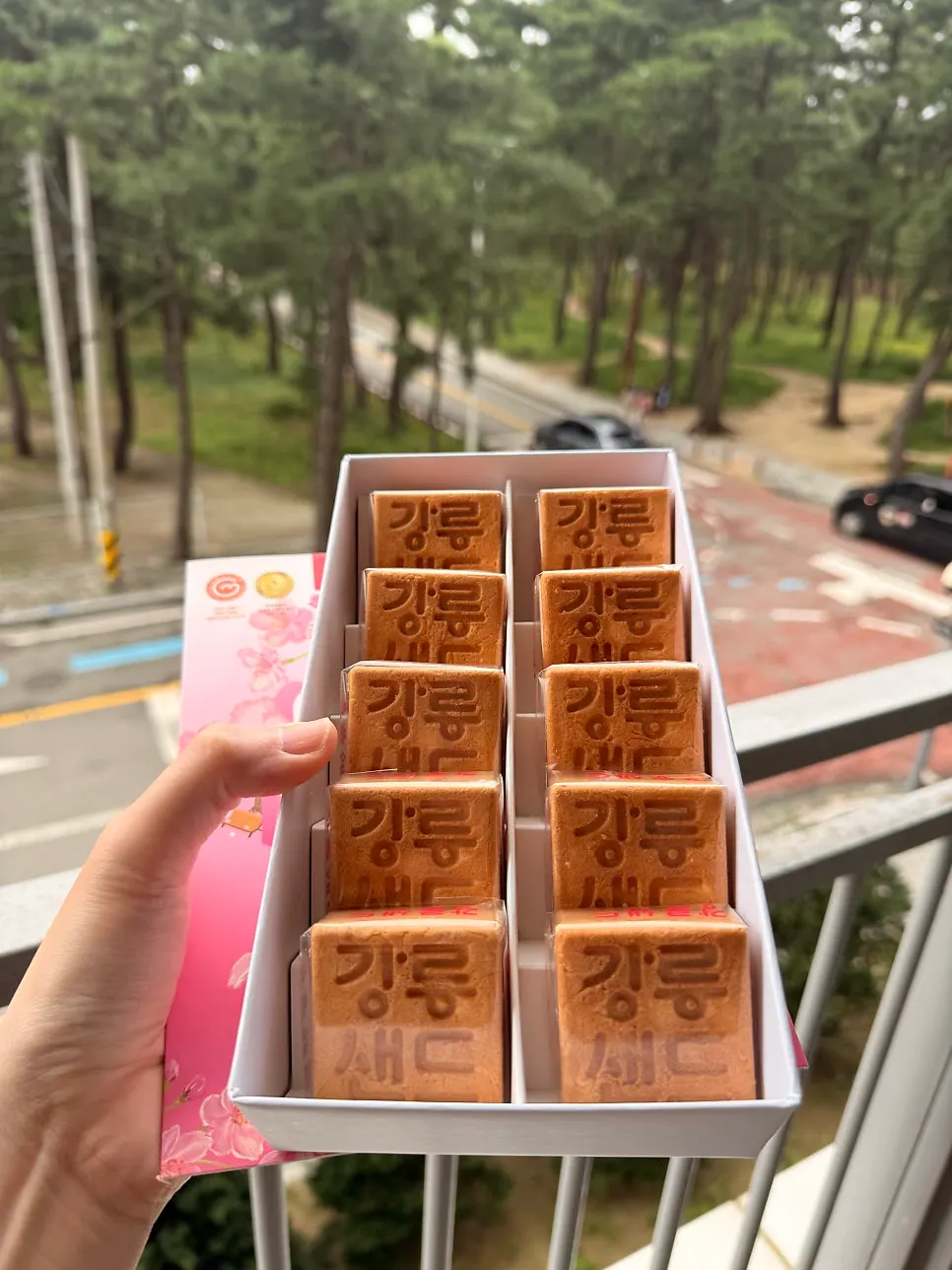 森ビューを背景にした江陵サンドの箱
