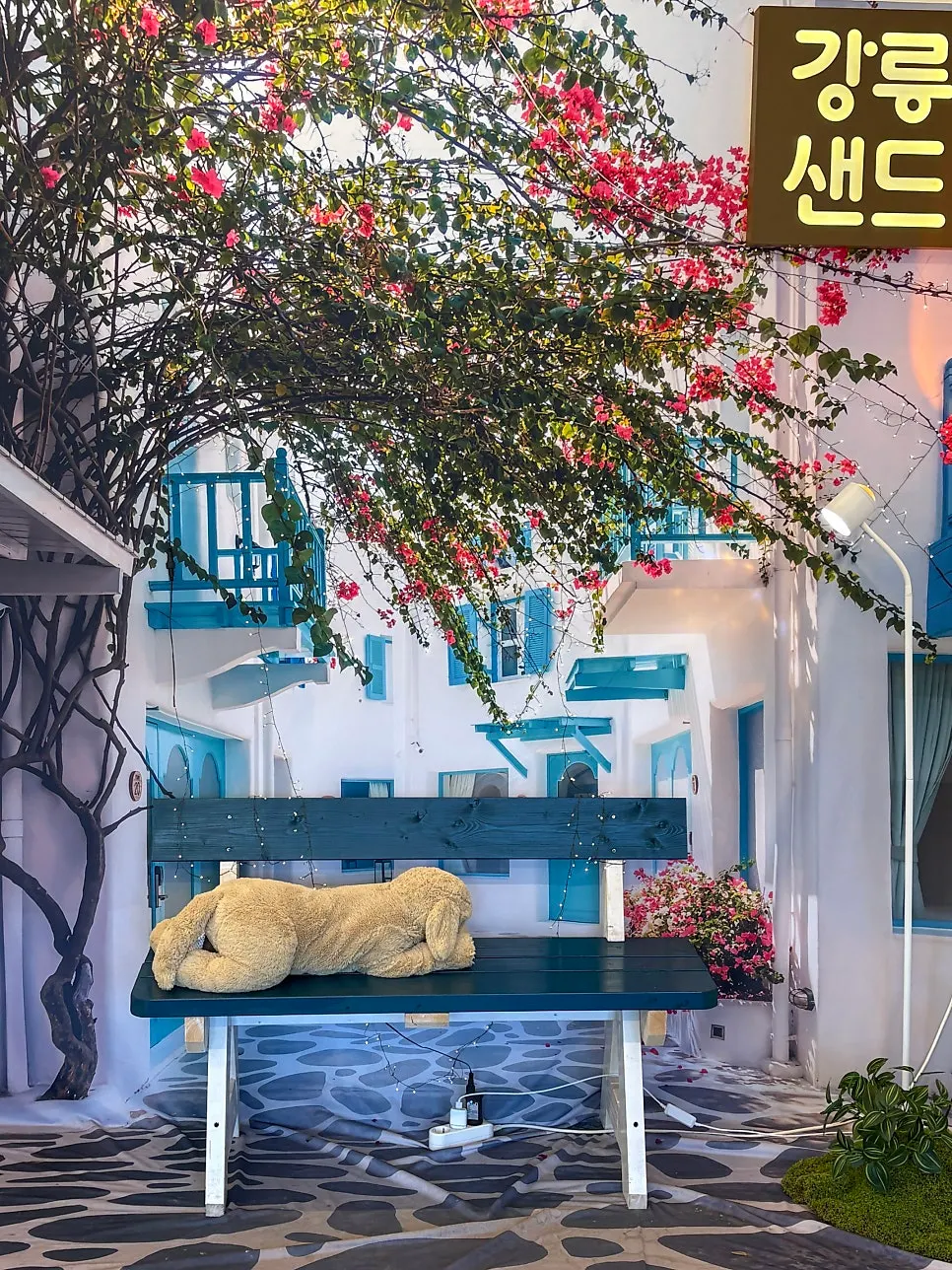 Café seating area at Gangneung Sand Main Branch