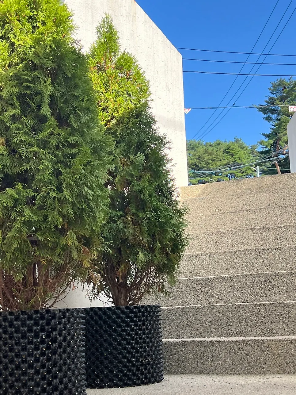강릉샌드 본점 2층으로 올라가는 외부 계단