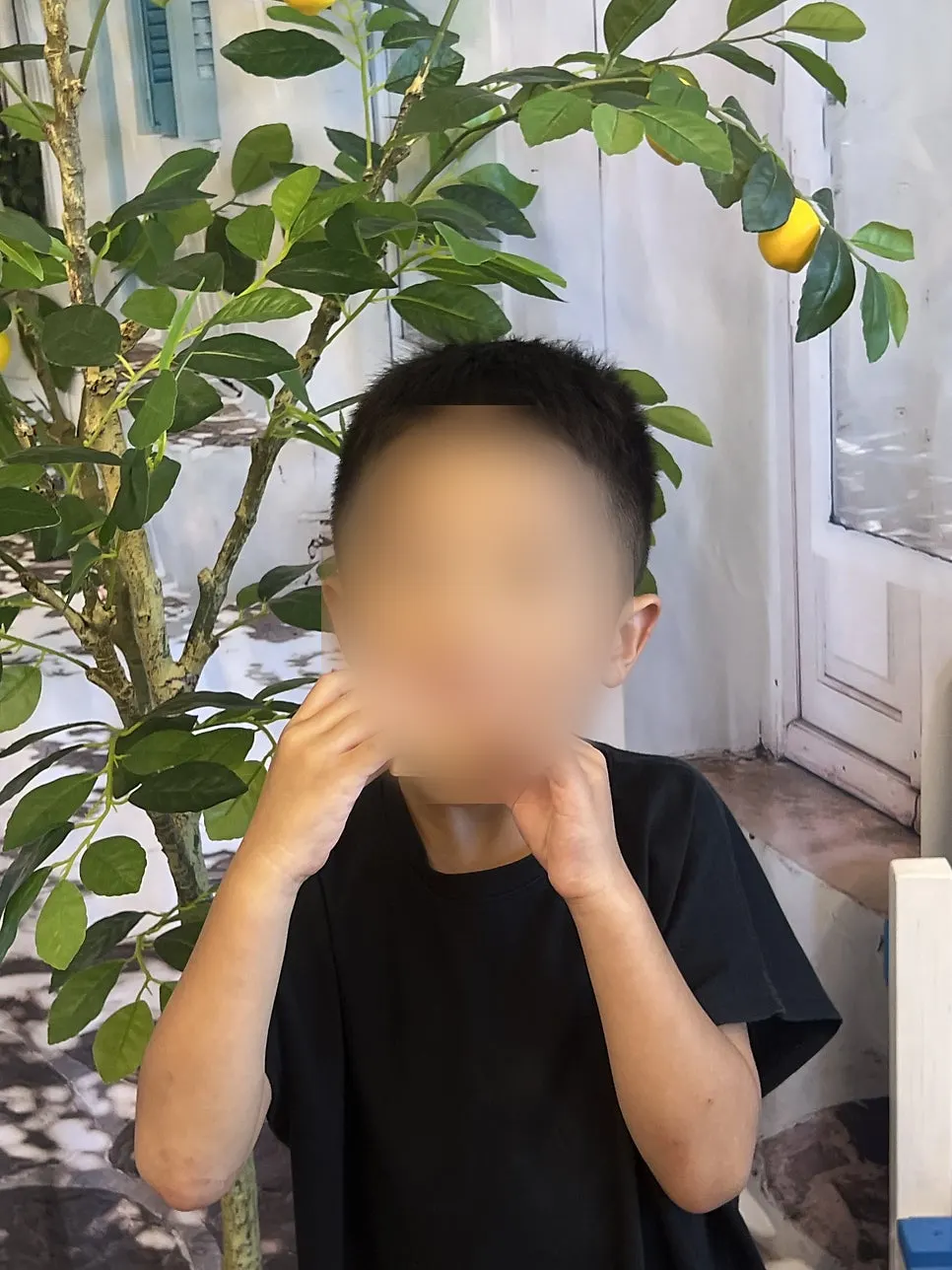 낱개 포장 10개가 들어 있는 강릉샌드 박스 내부