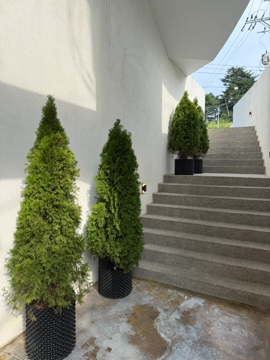 Exterior of Gangneung Sand Main Branch with a small-village atmosphere