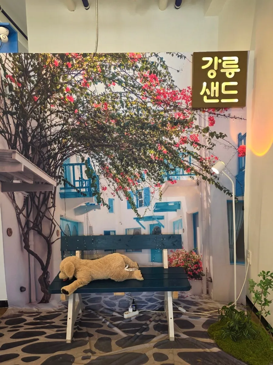 강릉시 관광기념품 공모전 수상 안내