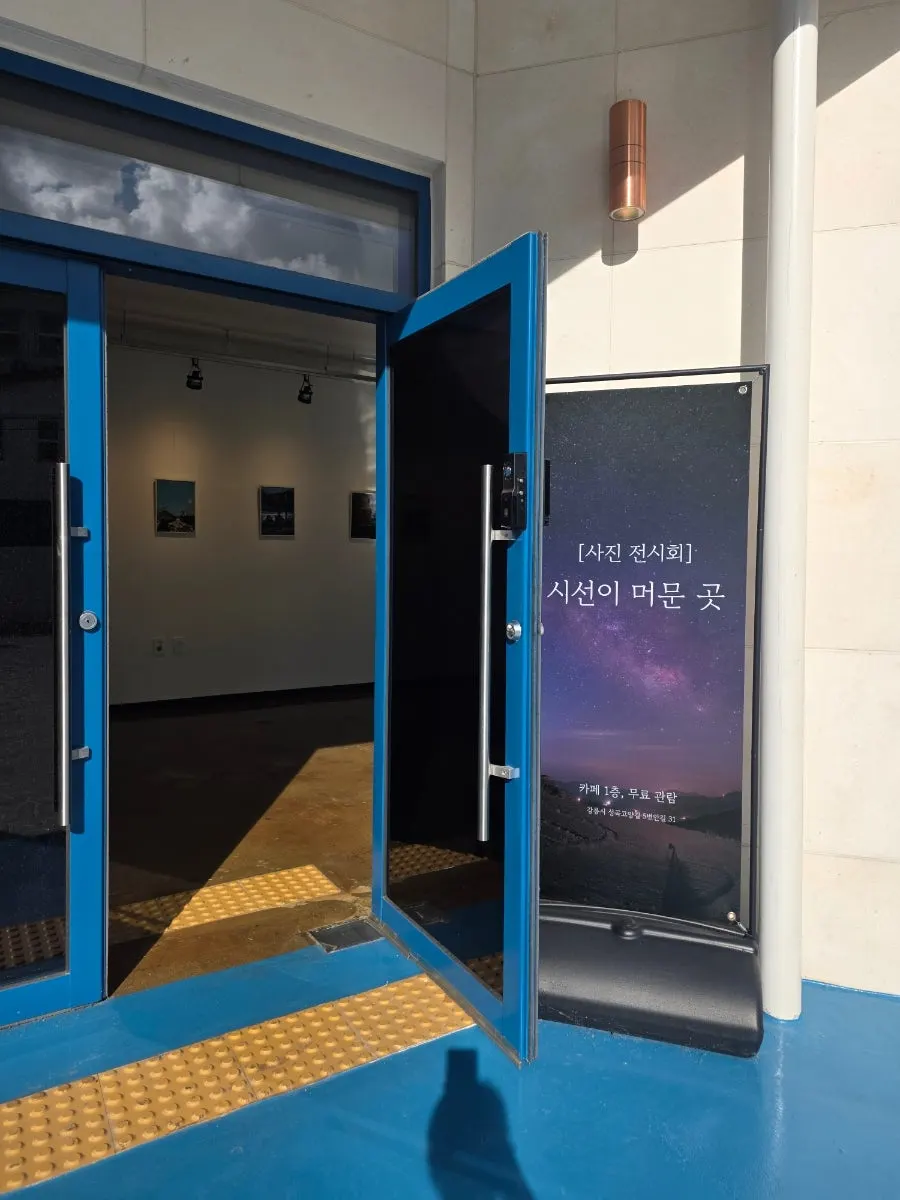 강릉샌드 이름이 적힌 운전번호판 소품