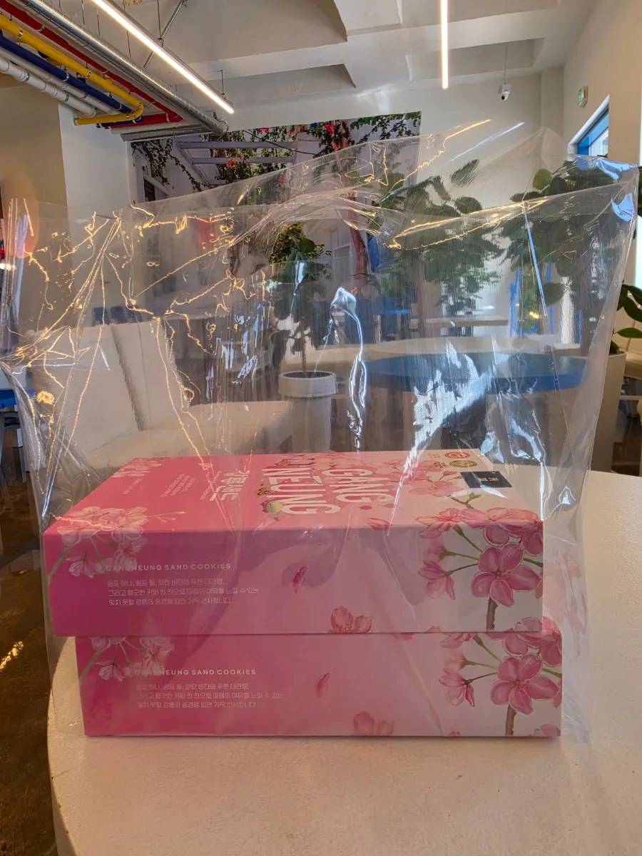 Gangneung Sand box picked out as a gift