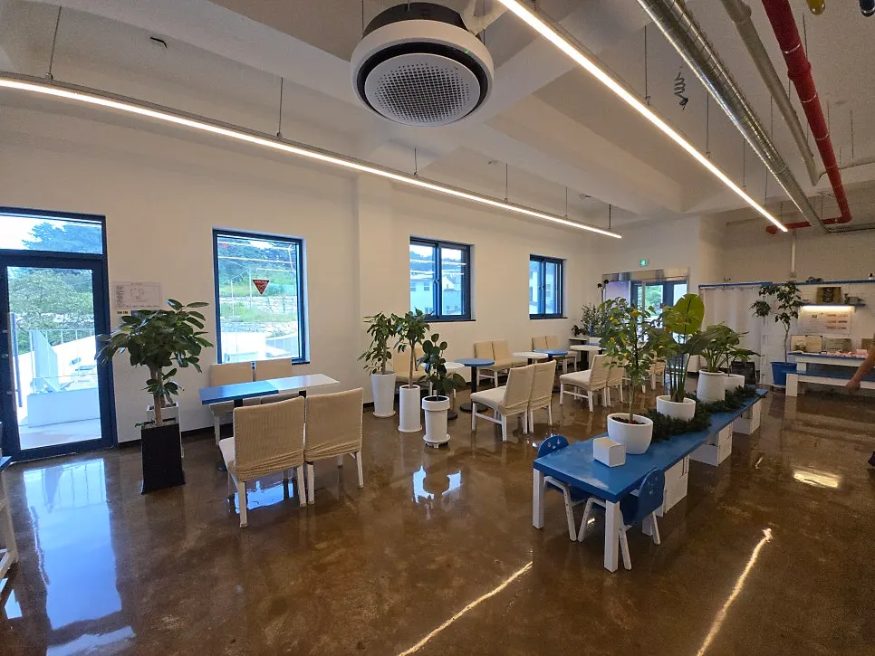Table seating along the windows at Gangneung Sand Main Branch