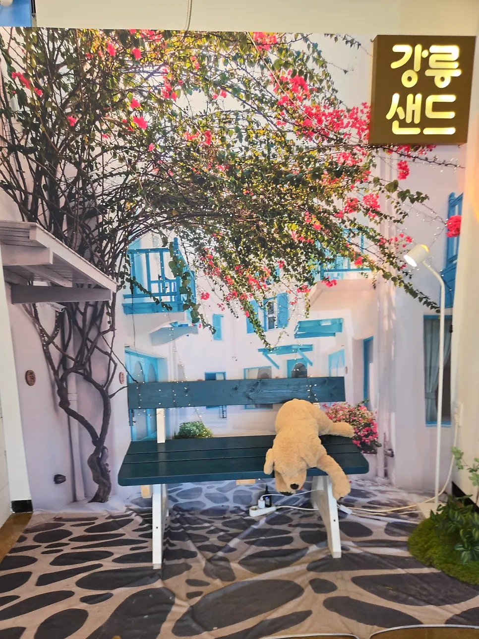 Photo zone at Gangneung Sand Main Branch decorated with flowers and a bench