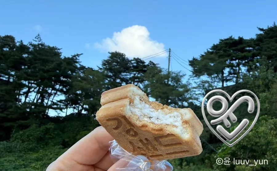 쿠키 사이에 필링이 채워진 곶감맛 샌드 단면