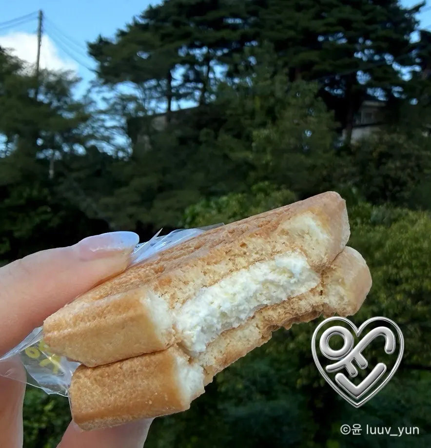 초당옥수수맛 강릉샌드