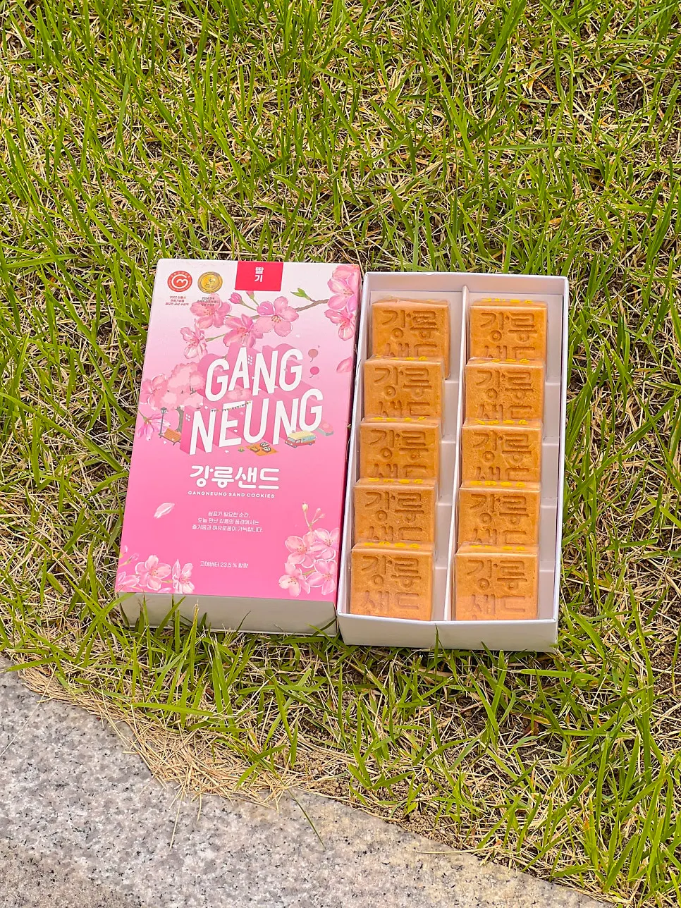Vertical photo of the Chodang corn flavor Gangneung Sand box