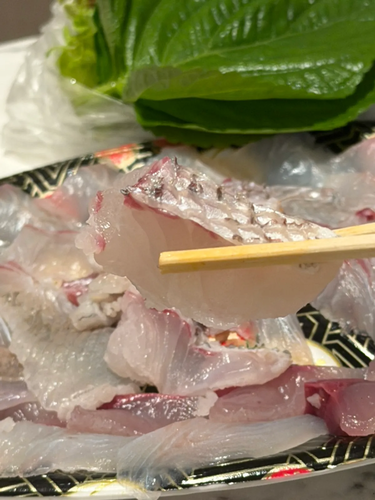 Assorted sashimi with red sea bream yubiki