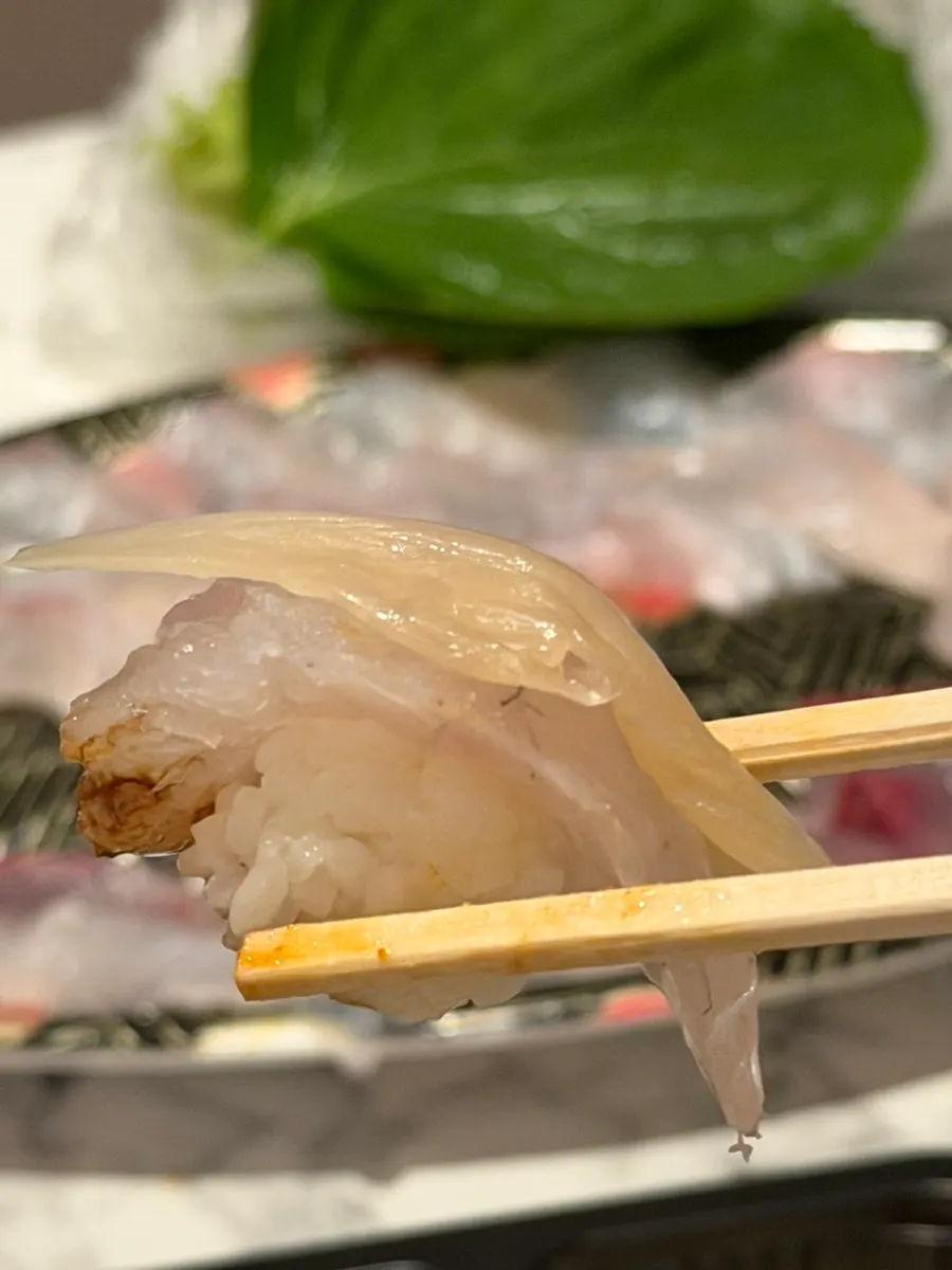 Thick-cut red sea bream yubiki sashimi