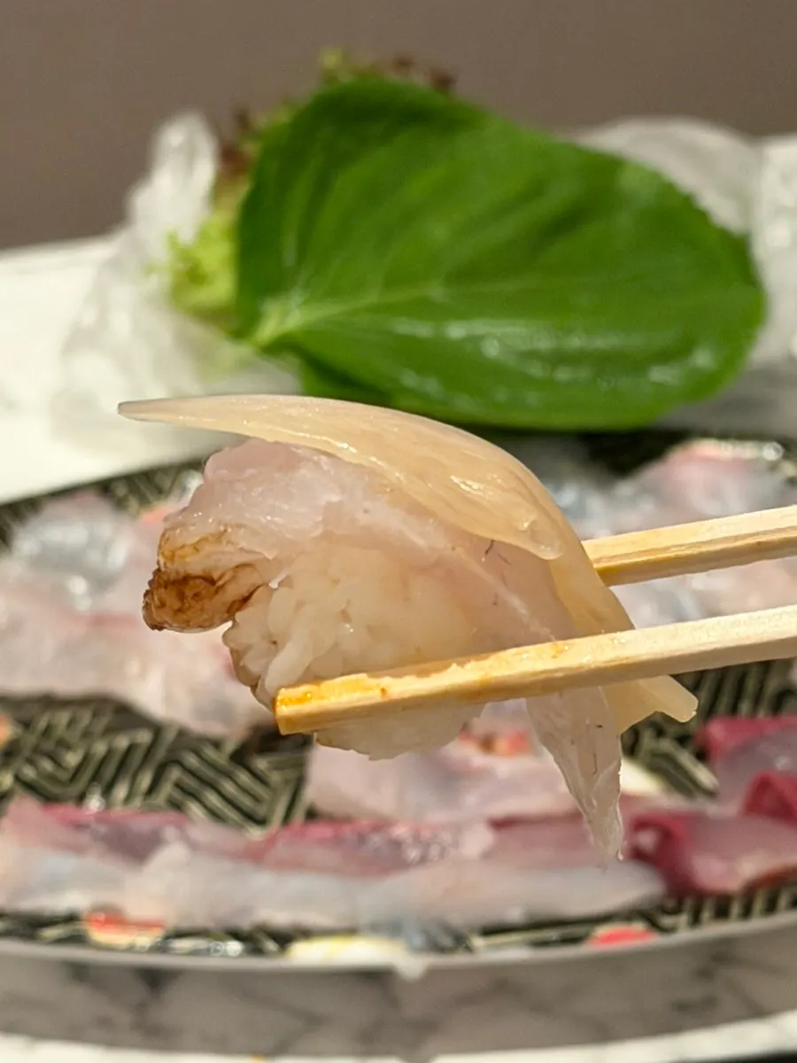 Olive flounder and flounder sashimi selection
