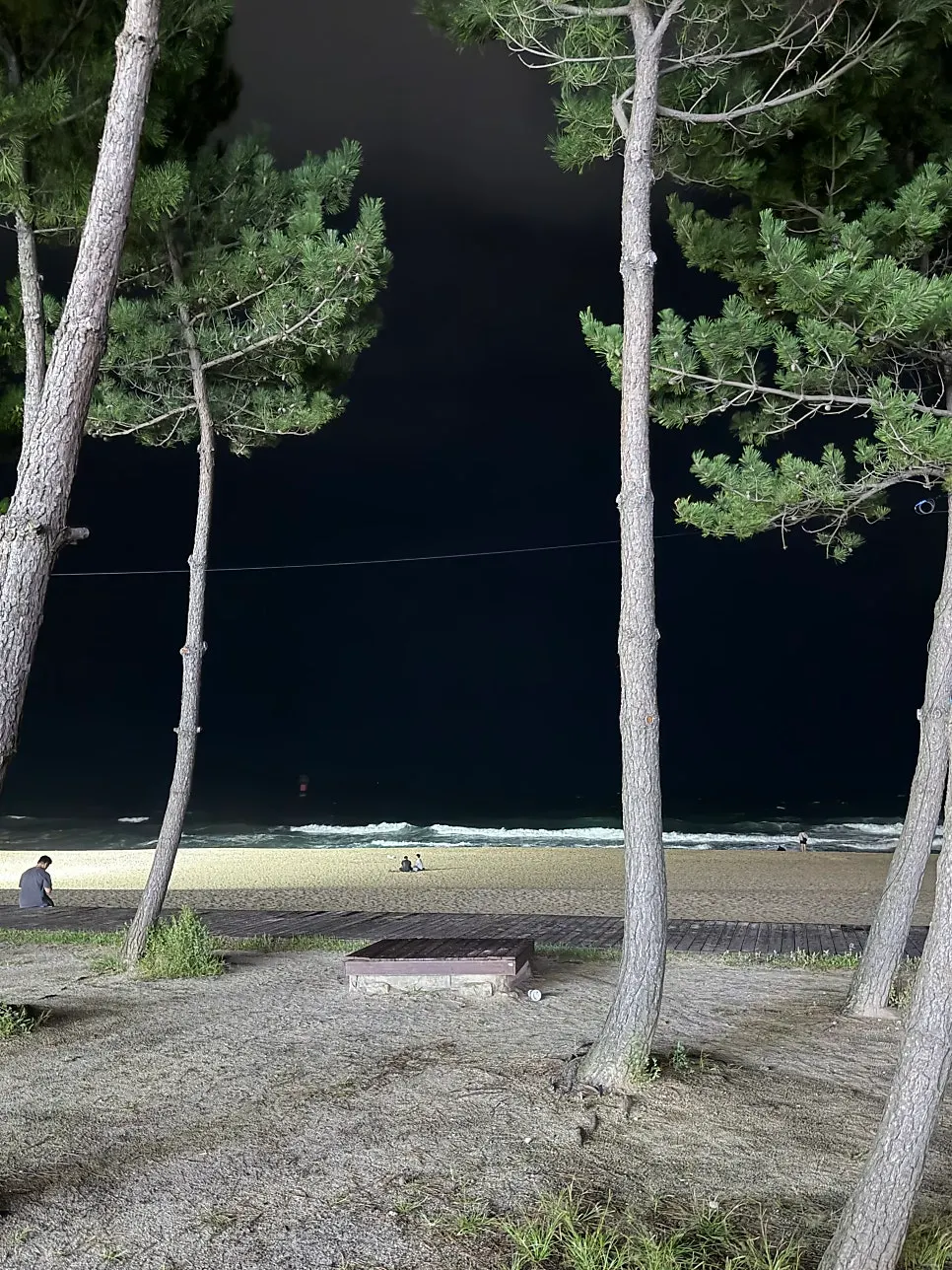 경포대 근처 삼삼이네 경포대본점
