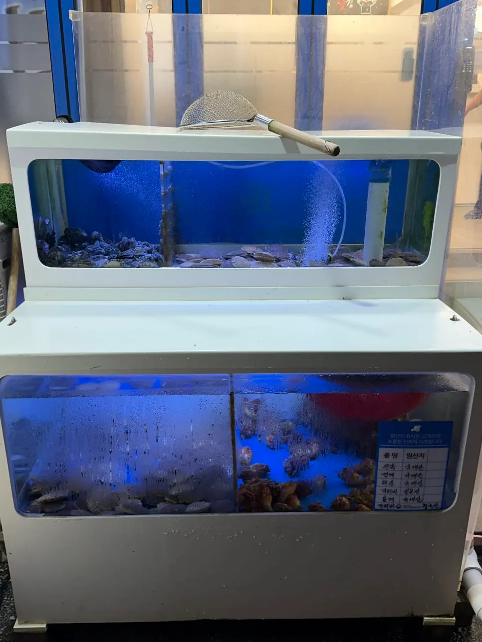 강릉 횟집 삼삼이네 매장 전경