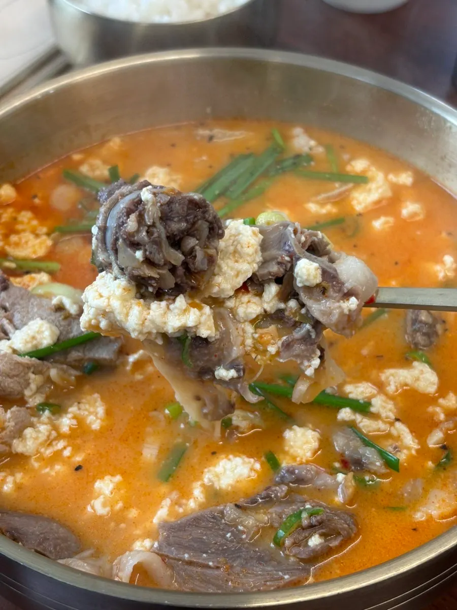 Chodang sundubu spicy hangover gukbap