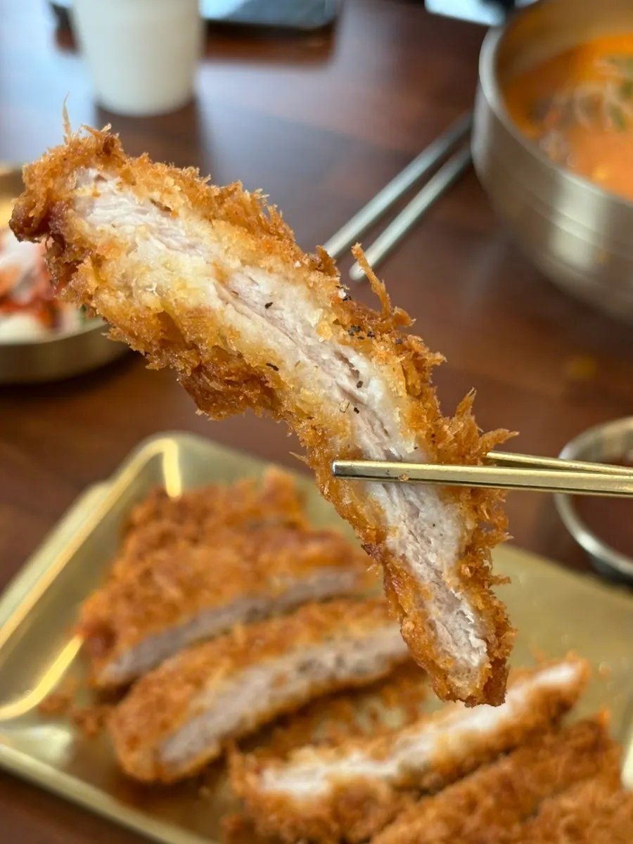 Donkatsu ordered as a side dish