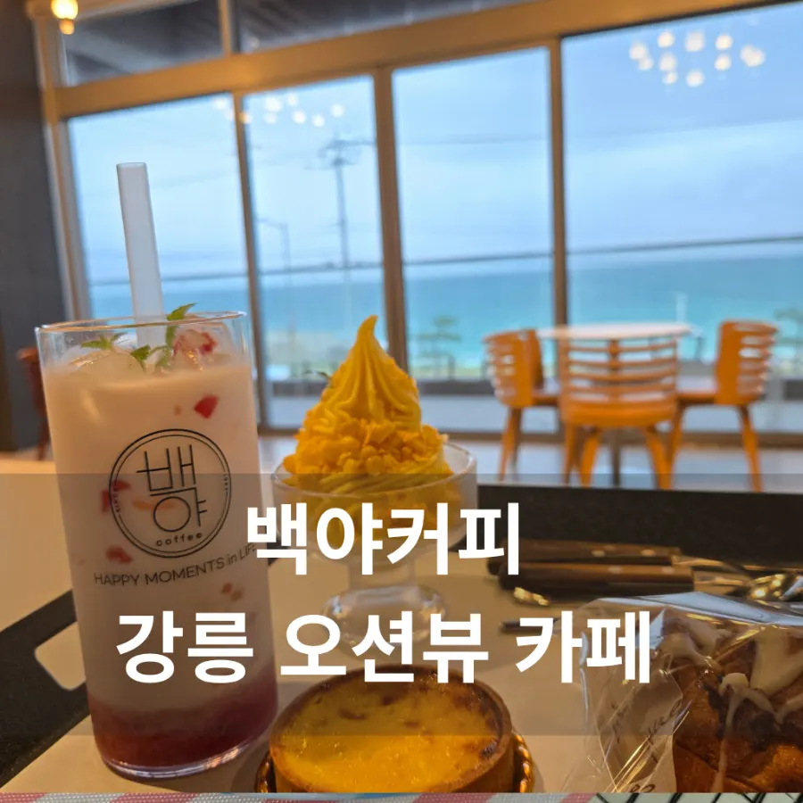 Baegya Coffee in front of the sea and its rooftop area