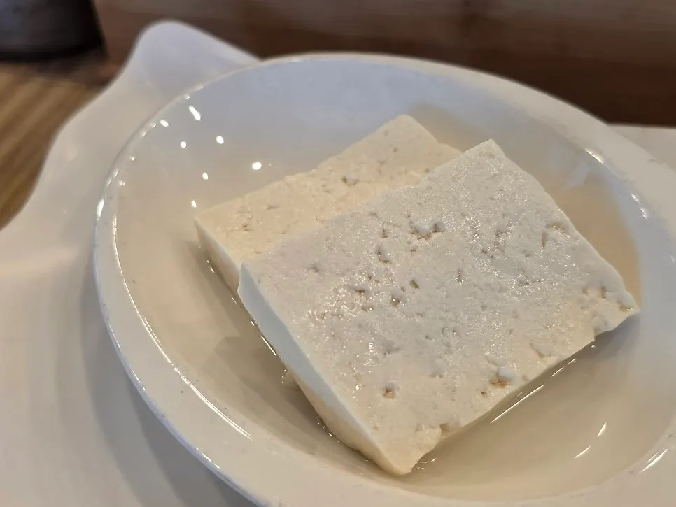 Two large pieces of plain tofu