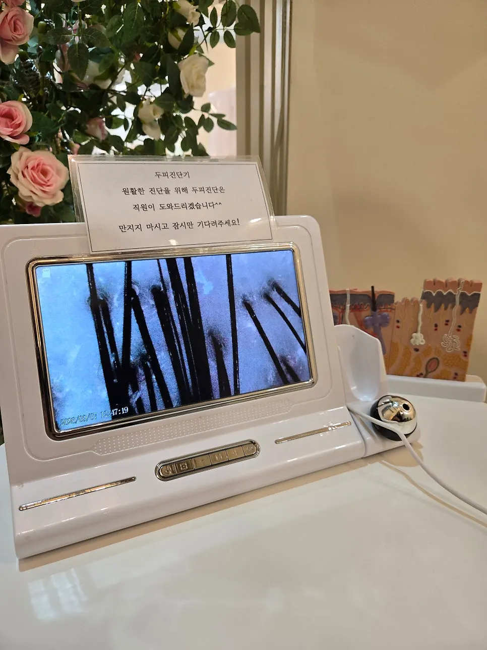 모발 상태 확인 상담