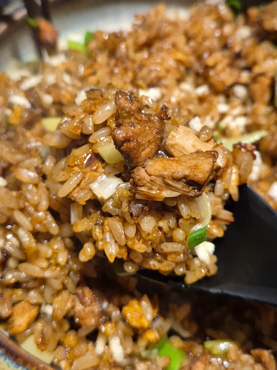 Plate of Peking duck fried rice served first