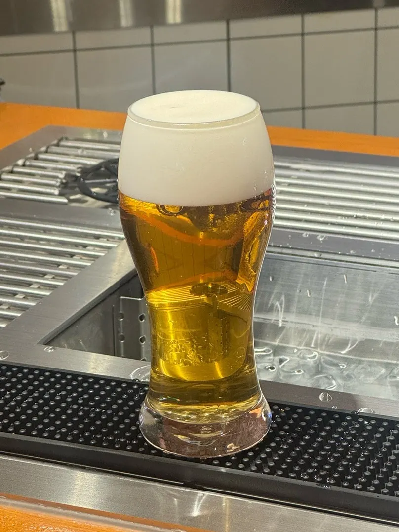 에비스 생맥주를 따르는 모습