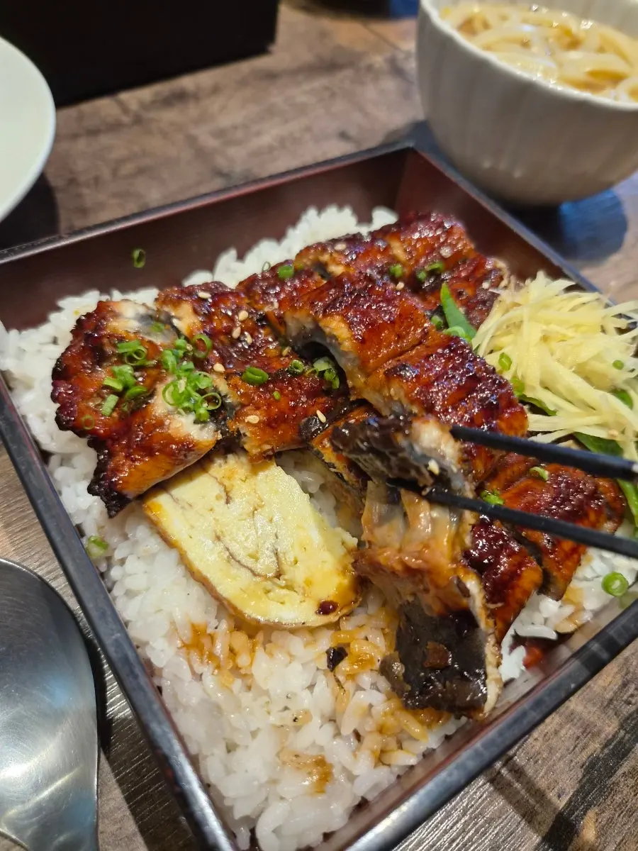 Close-up of the plump eel on the unagi-don