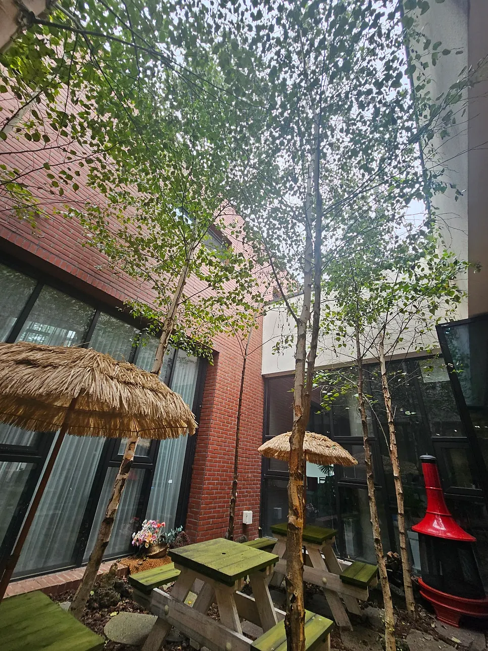 Sunlight streaming into the café courtyard