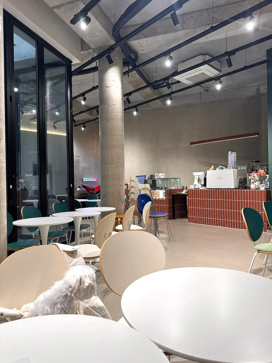 Dog-friendly seating area at Cafe Imchori