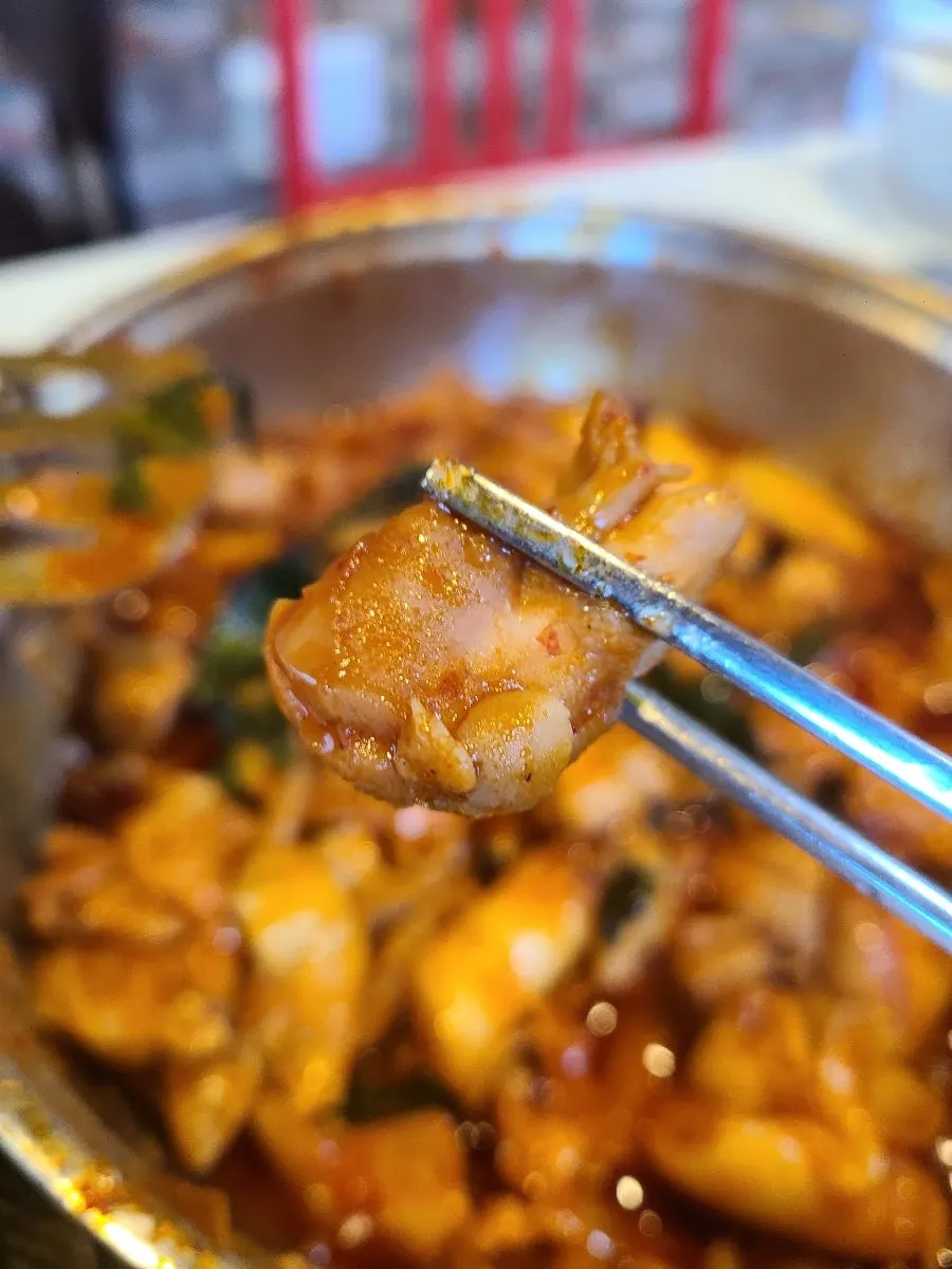 Dakgalbi showing chicken thigh meat and rice cake sticks with holes