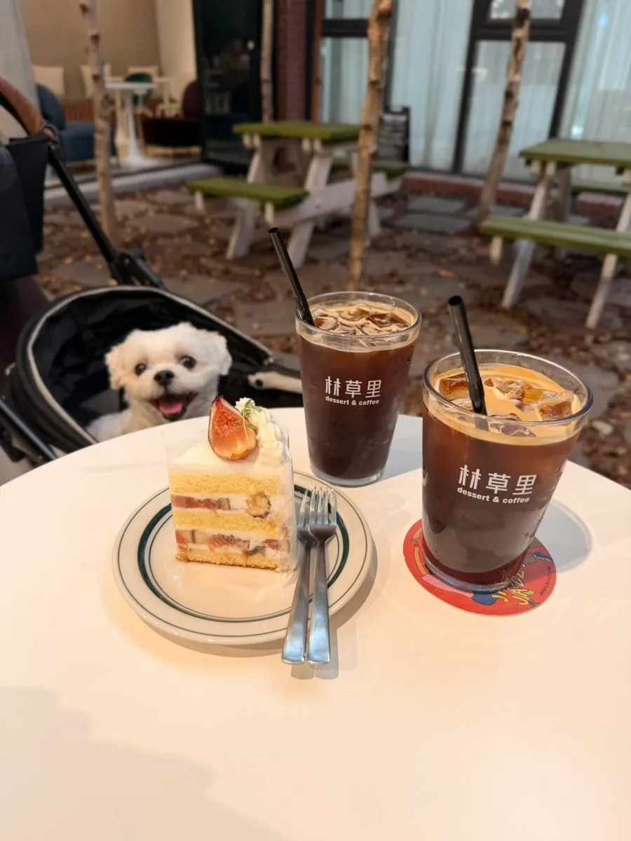 Ordered drinks and cake laid out on the table